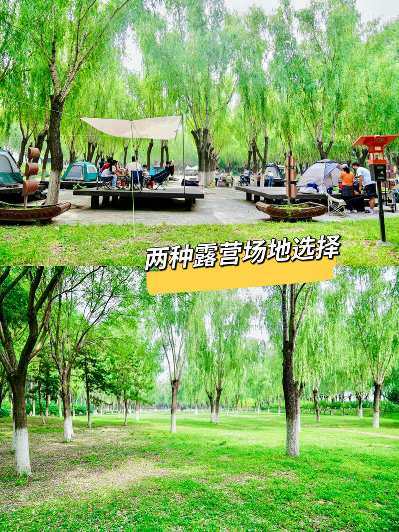 通州大運(yùn)河森林公園露營(yíng)團(tuán)建